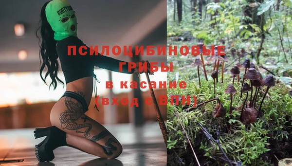 ALPHA-PVP Алексин